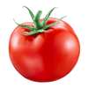 🐕完熟系🍅🐀