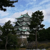 安納いも🐥🌳