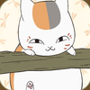 にゃんこ先生