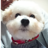 トヨさん