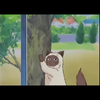 あやっさん