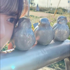 もも🫐🌼