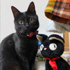 🐈‍⬛🔺くぅ🐾