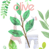 おりーぶ🌿