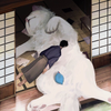 RAKU