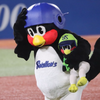 せなきち⚾️⭐️