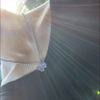 愛梨🦋💜
