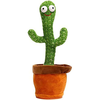 🌵サボテン🌵