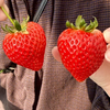 東のカメラマン