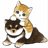 🐶💛🐈そらねこ🎾🐶