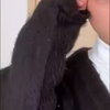 アリエッティ🕊️🖤