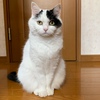 ミル