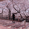 youhei♤
