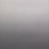 32310119
