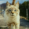 のぴお