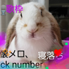 ちからくん🐰🐥【川崎さおり🍀🤤GM】