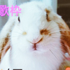 ちからくん🐇🐥💛💙