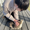 いざとまと