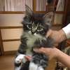 ちっぴー。🥺