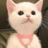 🀄🤏😏サキティ🐈🎀