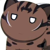 ねここねこ