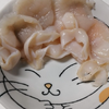まつり❄️☄️