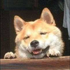 さり