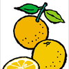ぽんかん🍊