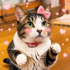 山仙人(🍎🐱)