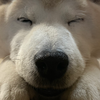 ユイ