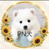 ∞🐩𝓟𝓗あおっちに恋して🦋🩵