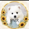 ∞🐩𝓟𝓗あおっち札これ応援ꉂꉂ📣中🦋🩵