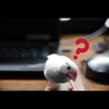 ぶん
