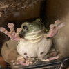 ユーザーアイコン