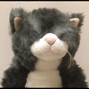 うーたん
