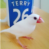 ゆう
