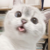 るな