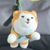 あゆむ