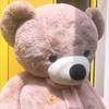 くまたん🧸