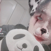 🐻くまぱんだ🐼
