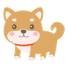 しば犬