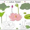 LotusFlower💐