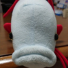 リュウグウノツカイ