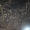 、、！、！てん