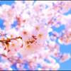 とんと・今という瞬間が溶けて時代は回る