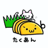 沢庵　　　　　　
