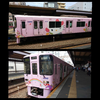 ネクス♂🚙🚋#ももこ🐻‍❄️🌻永久公認MG