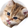 ぴーすふる