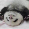 ぽにょ