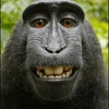 うほい🦍